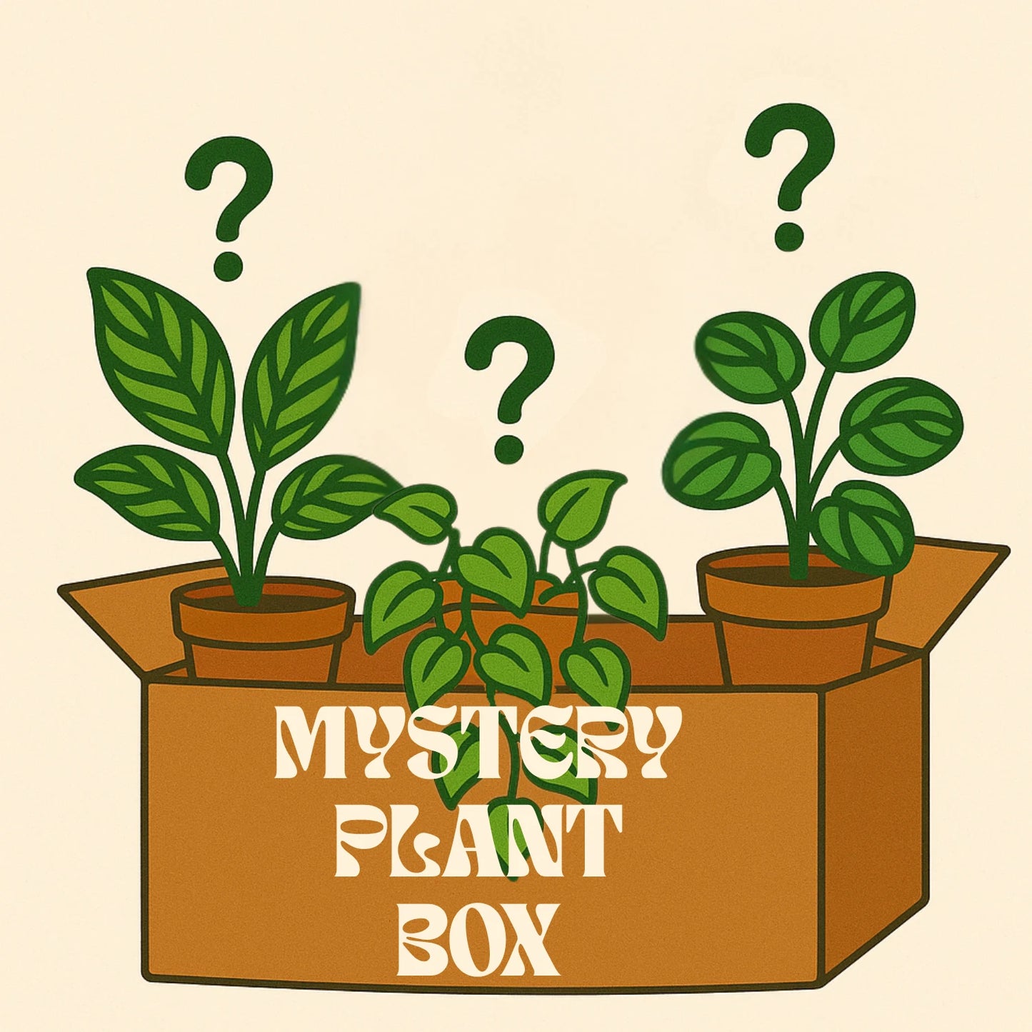 3 Plant Mystery Box - Propagation Cuttings - Rooted & Unrooted - Houseplants for Beginners - Ideal for Plant Lovers