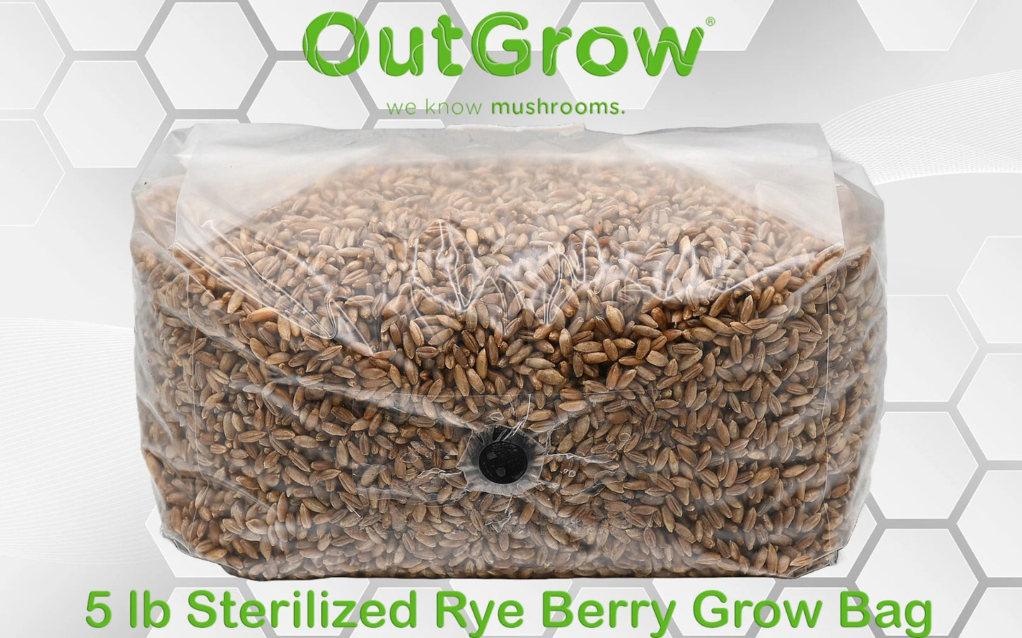 Sterilized Rye Berry Grow Bag 5lb for Mushroom Cultivation - Premium Substrate for Mycelium Growth, Out-Grow®