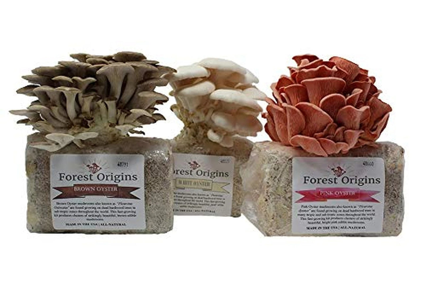 Oyster Mushroom Grow Kit 3-Pack - Pink, Brown & White Varieties - Organic Gourmet Mushrooms - Forest Origins