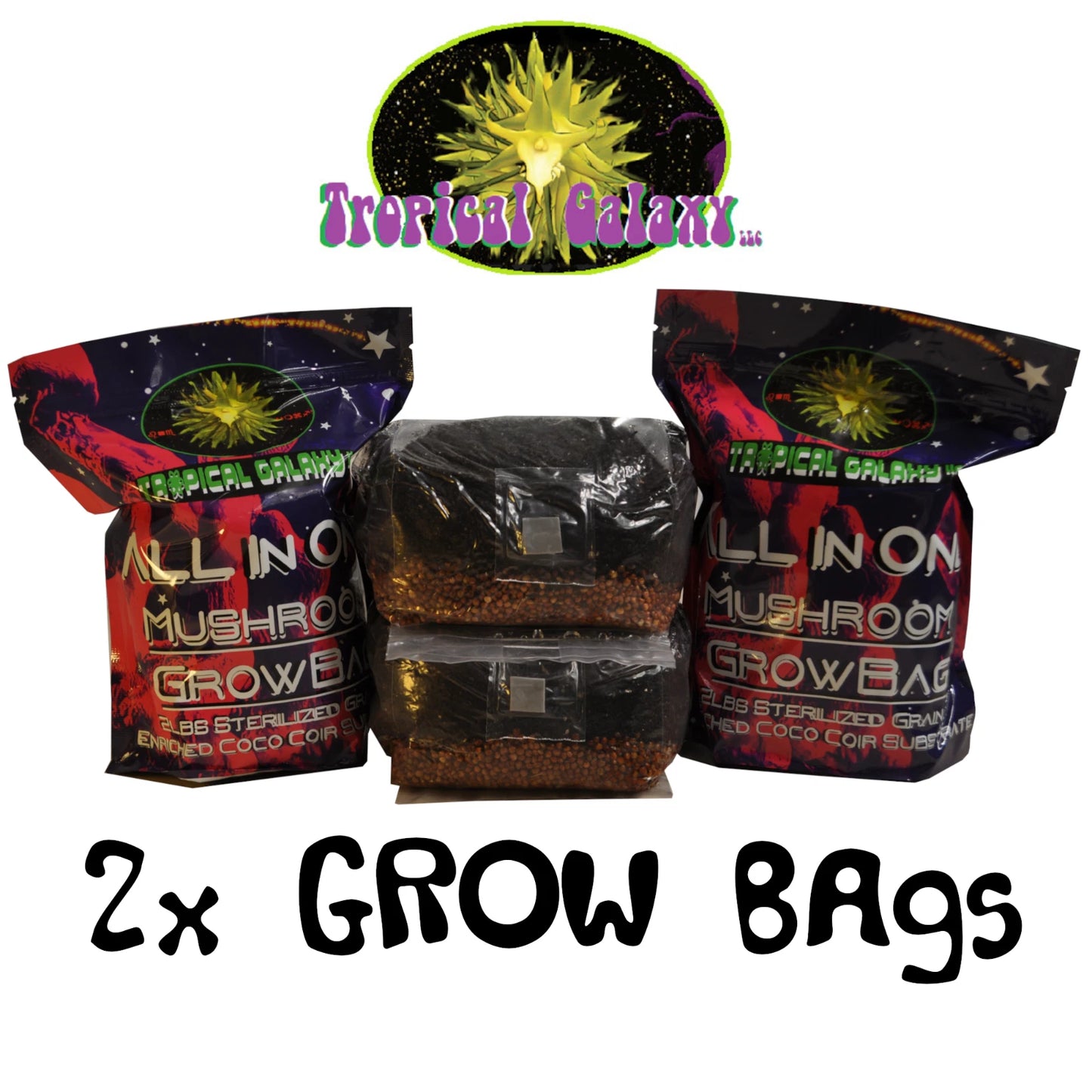 Double Mushroom Grow Bags, 2x 2lb All-in-One Kits, Easy Use for Beginners, Just Add Spores, Ideal for Mushroom Cultivation