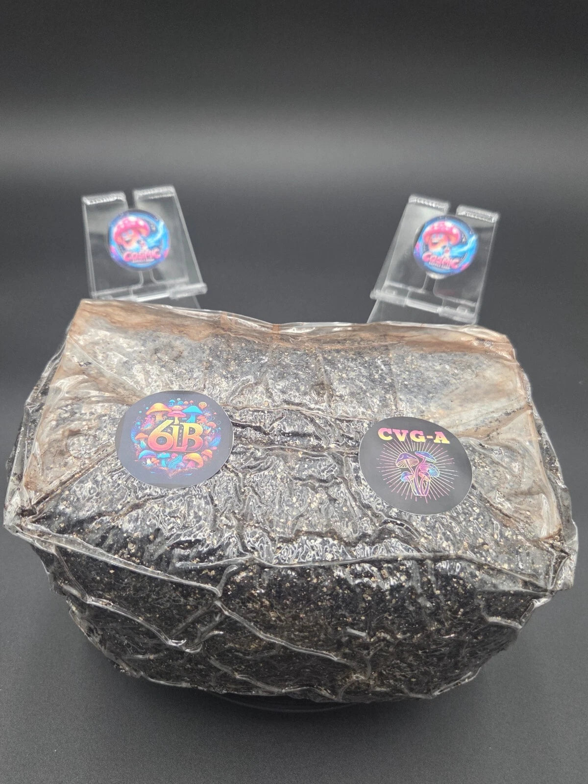 6lbs Mushroom Substrate CVG-A - Sterilized Coir, Vermiculite, Gypsum & Azomite - High Quality Mycology Supply