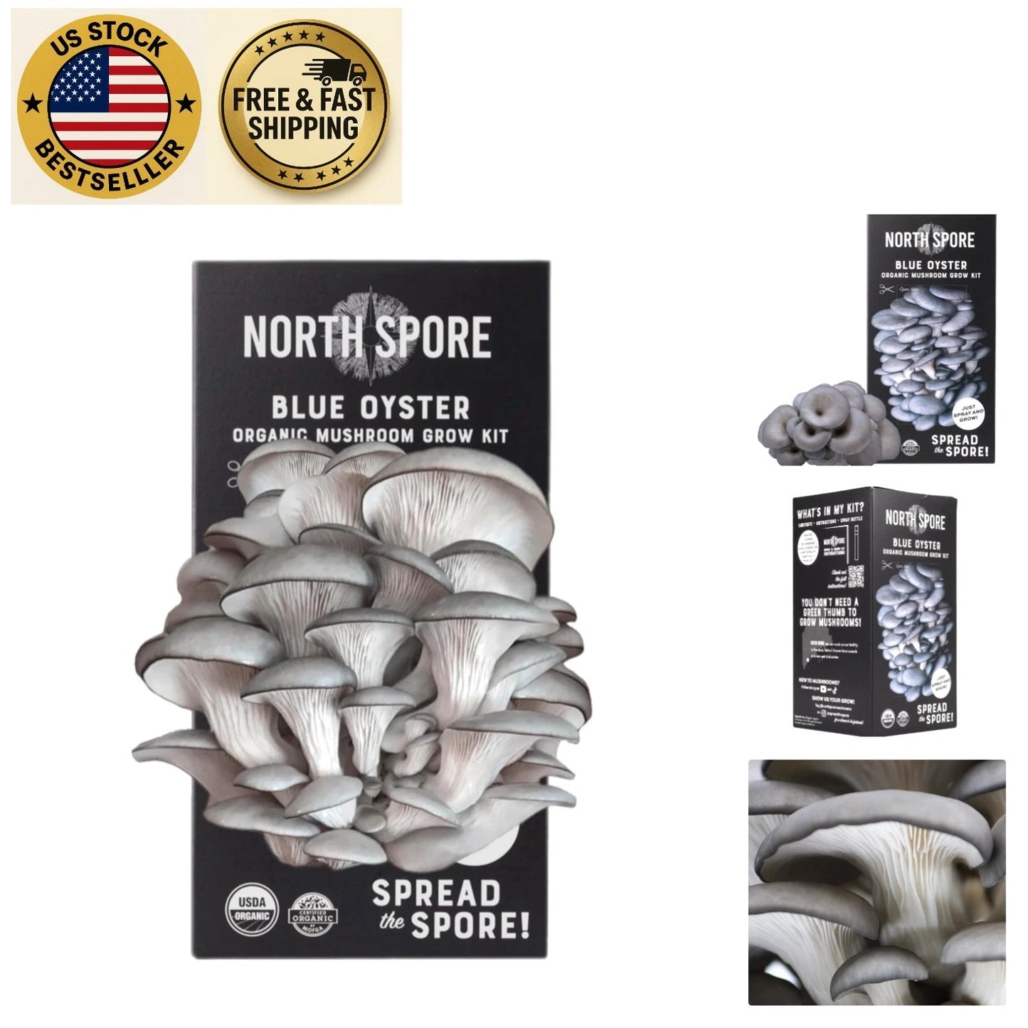 Round Organic Blue Oyster Mushroom Spray Kit - 4 lb Easy Gardening Solution - Pleurotus ostreatus - Gourmet Homegrown Mushrooms