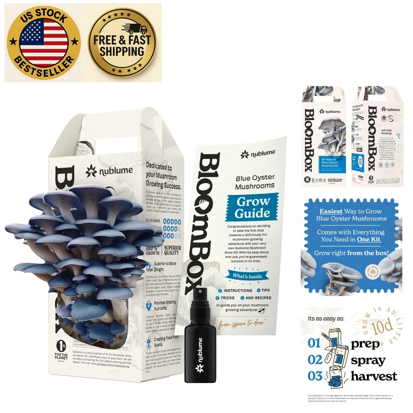 Blue Oyster Mushroom Growing Kit - All-in-One Fresh Gourmet Harvests - Pleurotus ostreatus - Ideal for Beginners and Enthusiasts