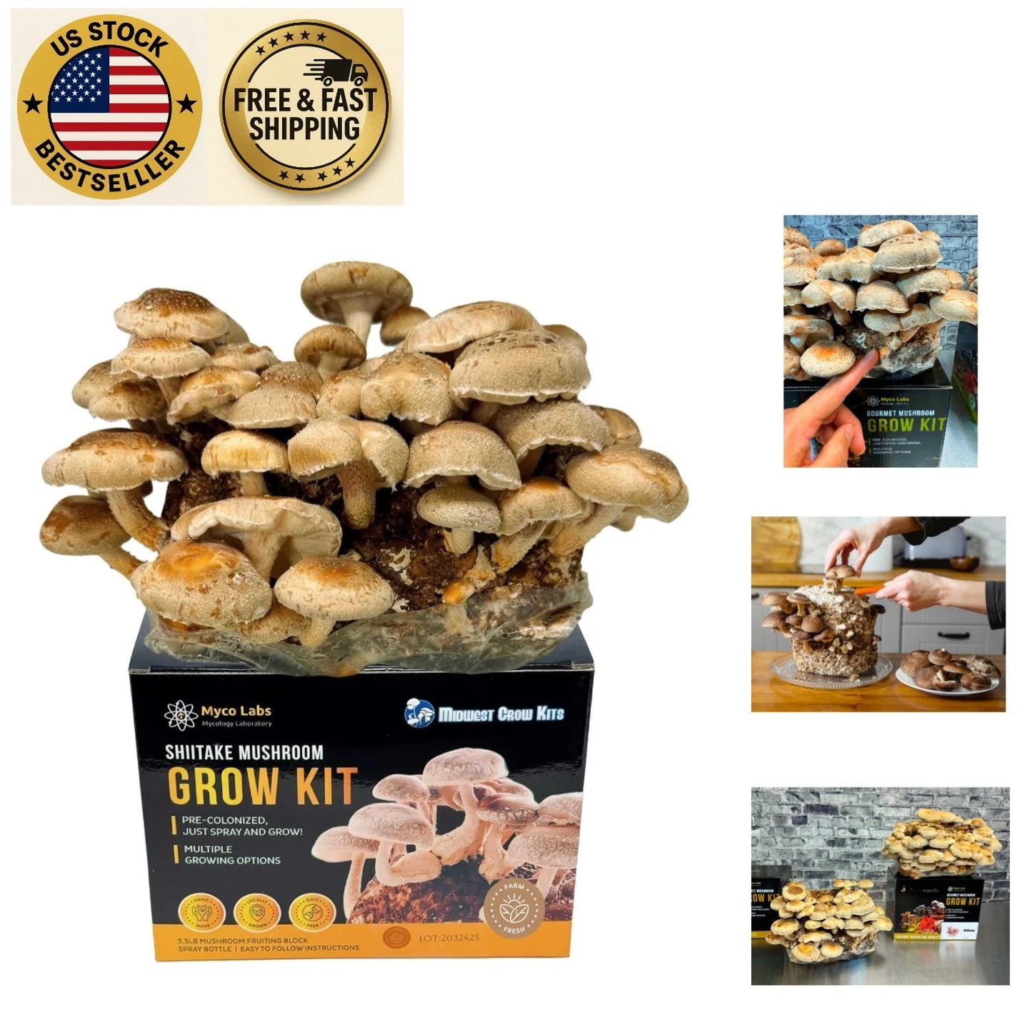 Shiitake Mushroom Grow Kit - 5.5LB Fruiting Block - Gourmet Shiitake - Easy Indoor Gardening, Rich Flavor, Nutritional Benefits