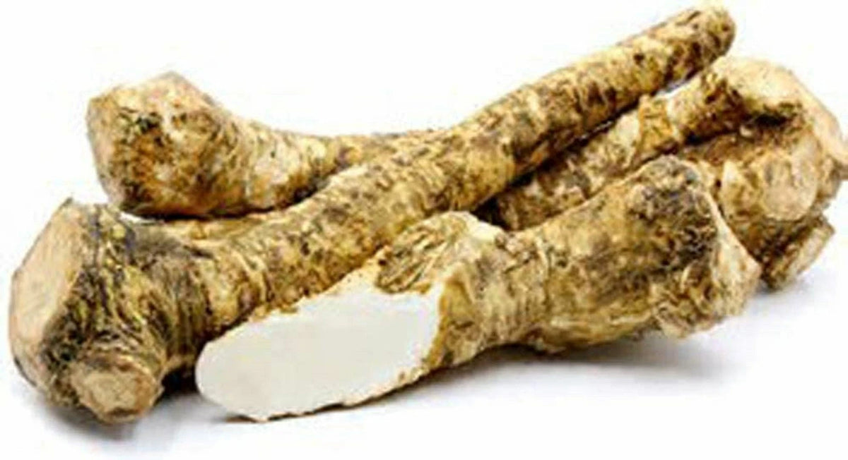 Fresh Horseradish Root - 4 oz Whole, Ready for Eating or Planting - Armoracia rusticana - Locally Sourced from Illinois