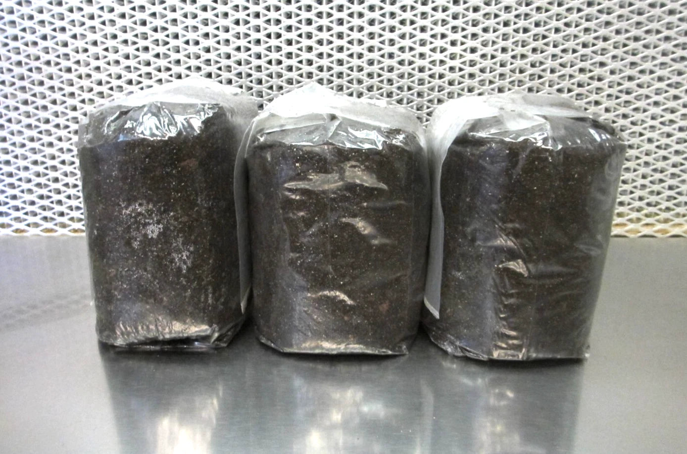 12 LBS Bulk Mushroom Grow Bag - Dung Lovers Substrate - Pasteurized Organic Compost for Mushroom Cultivation