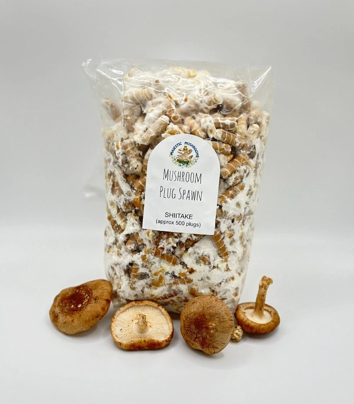 Shiitake Mushroom Plug Spawn 500x - Organic Birch Dowels - Inoculation for Logs - Lentinula edodes
