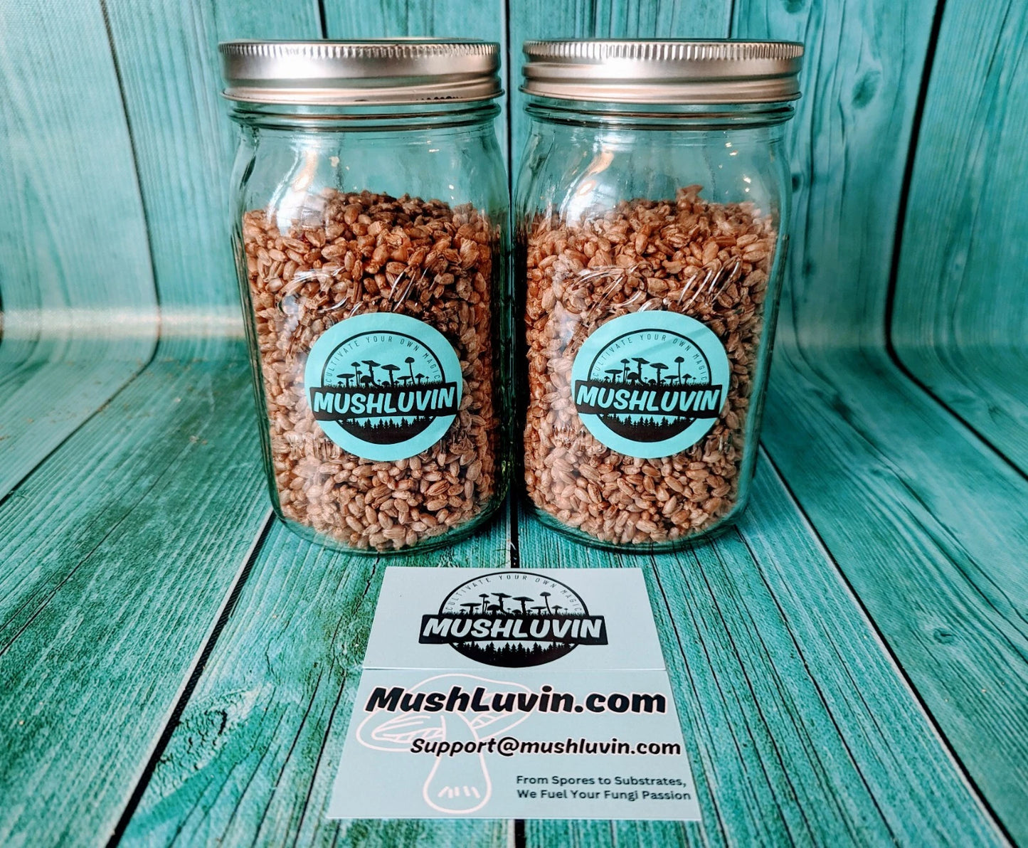 Premium 32oz Rye Mushroom Grain Spawn Jars - Pre-Sterilized for Inoculation - Organic Rye Berries (100% Contamination-Free)