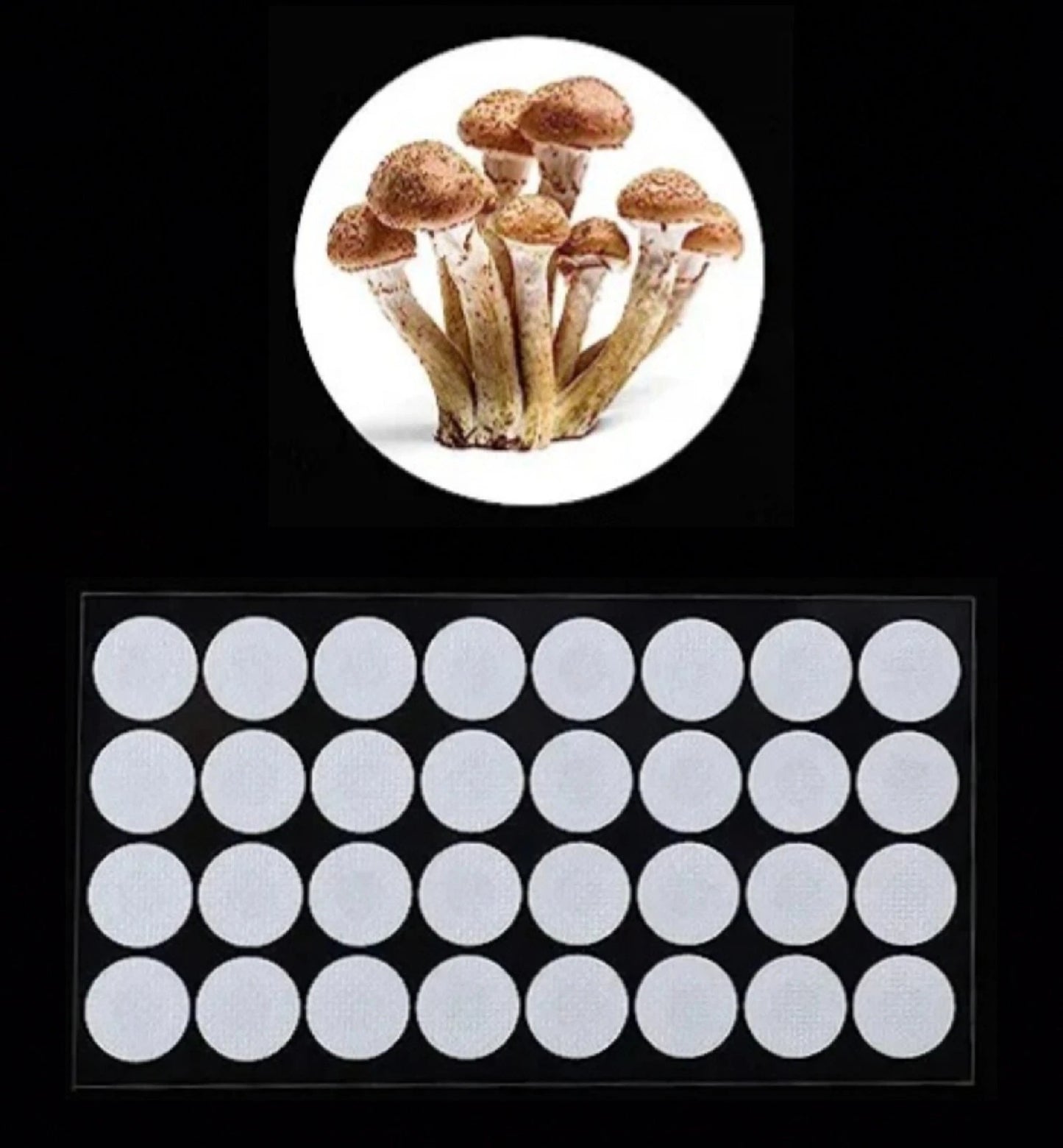 Synthetic Filter Paper Stickers 20mm 0.3?m for Mushroom Cultivation - Heat Resistant Disc Filters