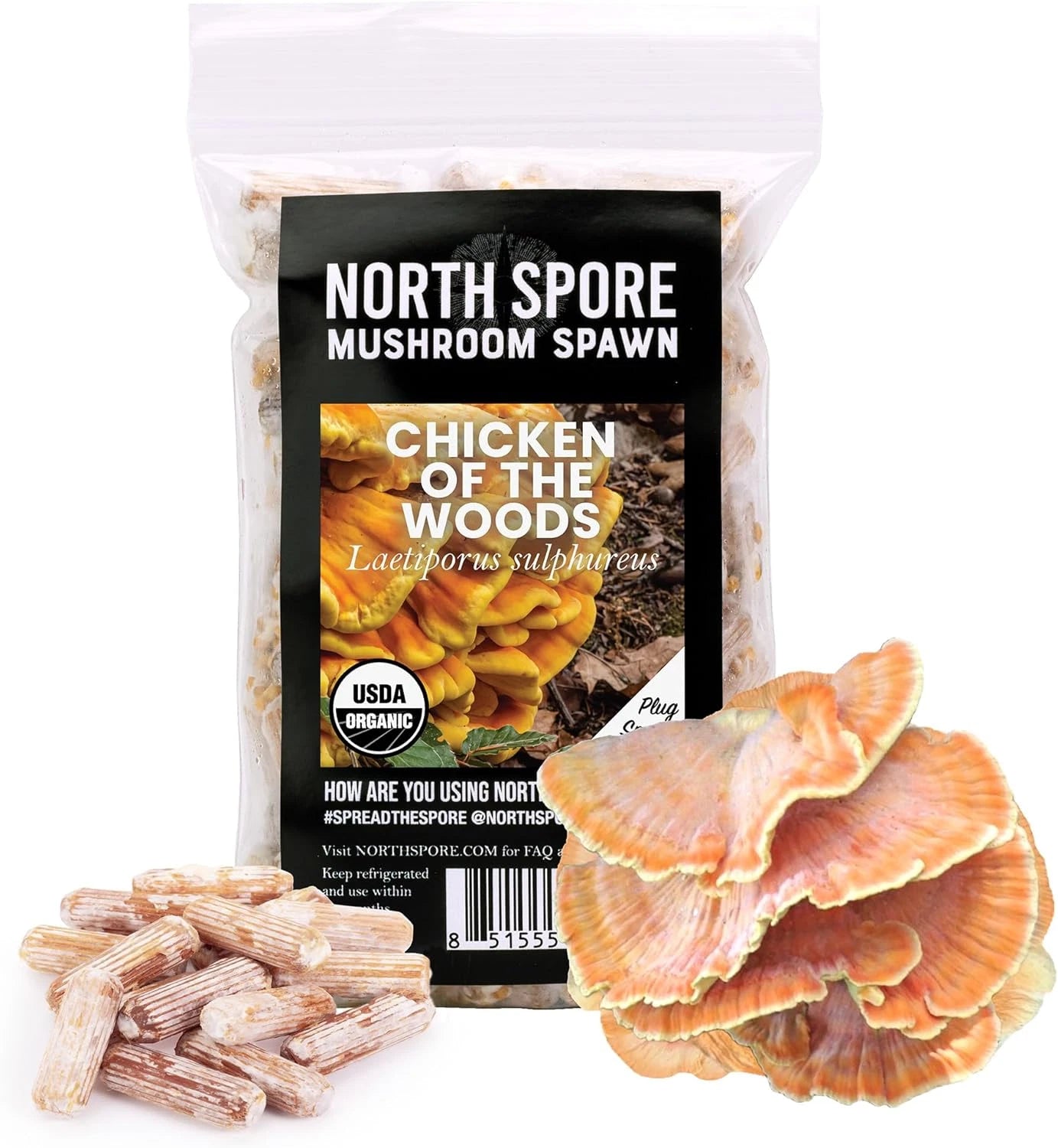 Organic Chicken of the Woods Mushroom Plugs (100 Ct) - Premium Log Inoculation - Laetiporus sulphureus