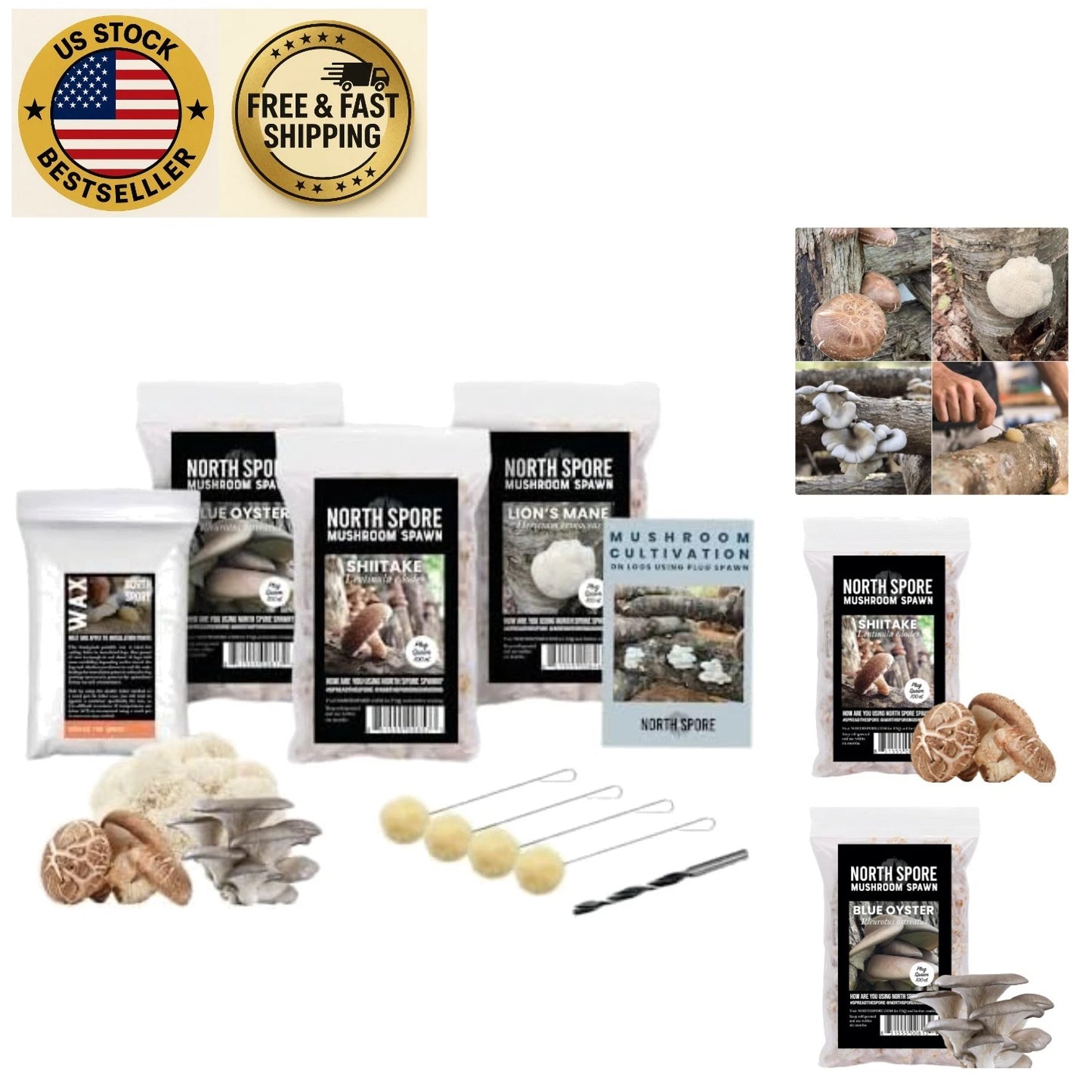Sustainable Mushroom Cultivation Kit - 100 ct Shiitake & Blue Oyster Plug Spawn - Mycology Growing Supplies
