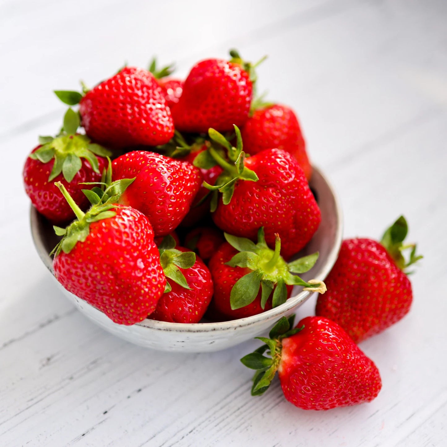Everbearing Strawberry Roots - Bare Root Plants for Continuous Harvest - Fragaria × ananassa - Sweet & Juicy Berries