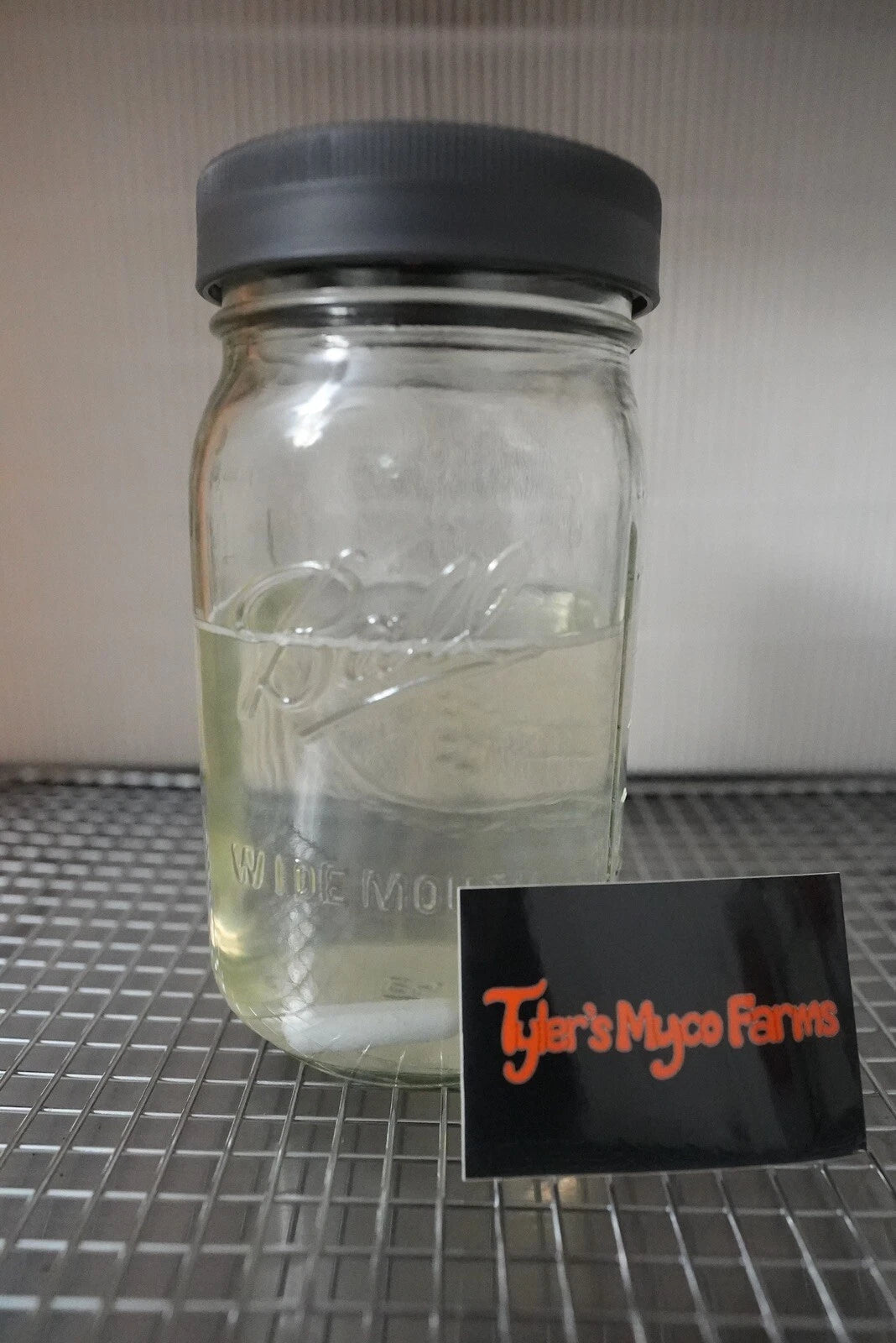 Organic Mushroom Liquid Culture 500 mL - Honey-Based Growth Medium for Fungi Cultivation - Ideal for Colonization