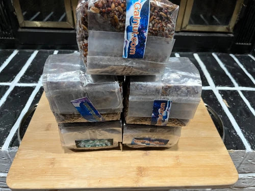 Premium Mushroom Spawn Bags 5-Pack 1lb Sterilized Grain with Injection Port for Home Cultivation