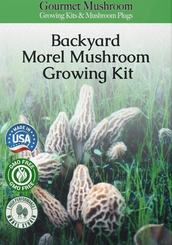 Morel Mushroom Grow Kit | All-in-One Home Cultivation | Morchella esculenta | Grow Fresh Gourmet Morels This Summer