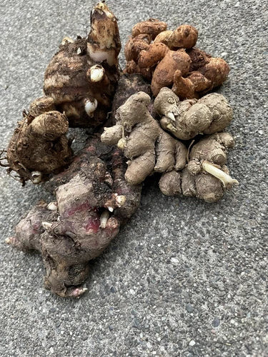 Ginger Roots Set - 2 Black Ginger, 2 Red Ginger, 2 Aromatic Ginger, 2 Black Turmeric - Culinary Herbs for Flavorful Dishes