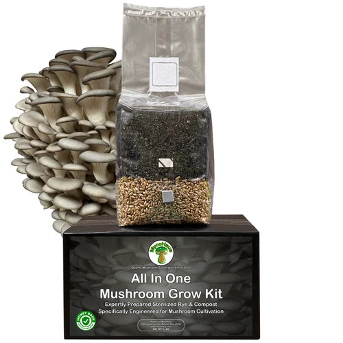 Mushroom Grow Kit 5 Pound Rye & Compost Substrate for Oyster & Shiitake - MycoHaus All-in-One Mushroom Cultivation