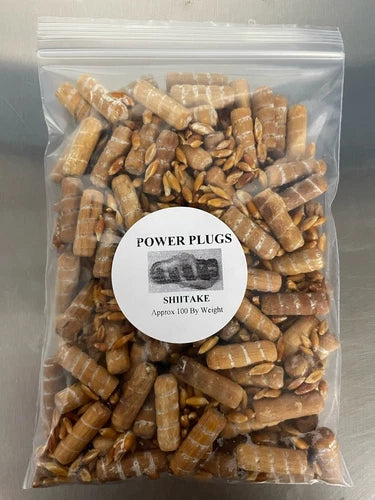 Shiitake Mushroom Plug Spawn 100 Count - Edible Fungi Cultivation - Lentinula edodes - Ideal for Outdoor Gardening