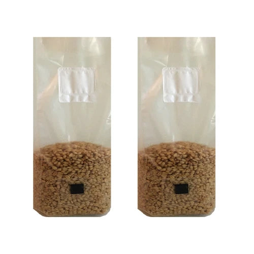 Wheat Grain Mushroom Spawn Bags 4 lb - 2 Sterilized Grow Bags with Injection Port & .22 Micron Filter for Easy Cultivation
