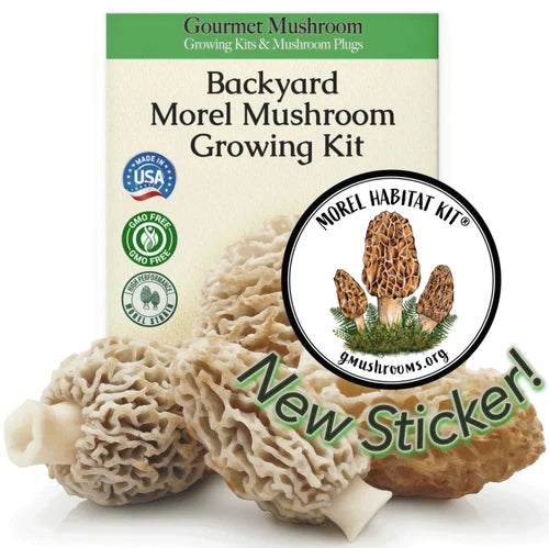Morel Grow Kit & Sticker Bundle - Grow Morchella esculenta Mushrooms at Home - Perfect Gift for Mushroom Lovers