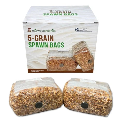 Premium 5-Grain Mushroom Spawn Bags - 2 Quarts (2.25-2.5lbs) - Sterilized Grain Spawn for Easy Cultivation - Myco Labs