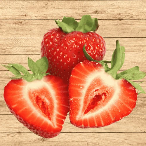 Bare Root Strawberry Plants - Pack of 20 - Albion Everbearing Variety - Fragaria x ananassa