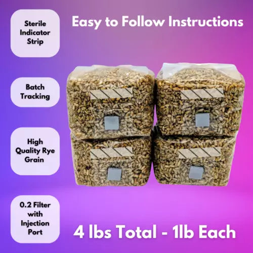 4-Pack 1lb Sterile Rye Grain Spawn Bags with Injection Ports for Mushroom Cultivation - Secale cereale