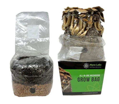 Myco Labs Mushroom Grow Kit - 5 Pack (4 lbs each) - Shiitake, Oyster, Lion's Mane - Easy All-in-One Cultivation