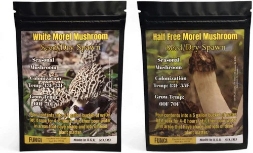 Morel Mushroom Dry Spawn - White & Half Free Variety, All-In-One Mushroom Cultivation, Heat Tolerant & Cold Resistant