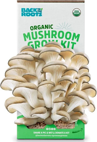 Organic Oyster Mushroom Grow Kit - Indoor Gourmet Mushrooms in 10 Days - Non-GMO, Easy to Grow, Perfect for Home Cooking