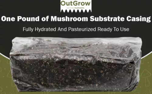 Mushroom Substrate Casing 1 lb Bag Pasteurized for Mushroom Cultivation | Organic Growth Medium for Edible Mushrooms