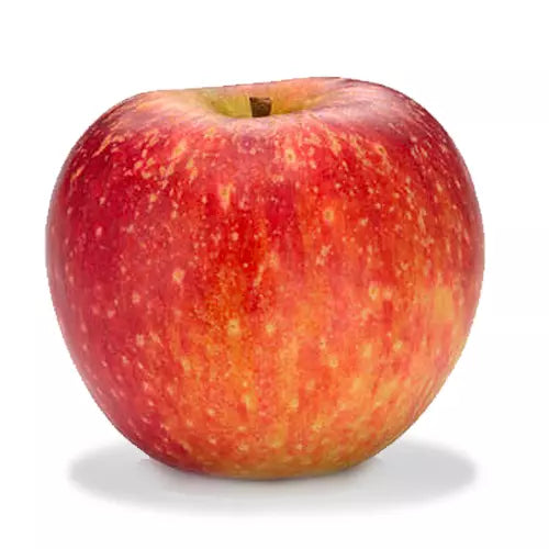 40 Seeds Winesap Apple Tree FRESH SEEDS