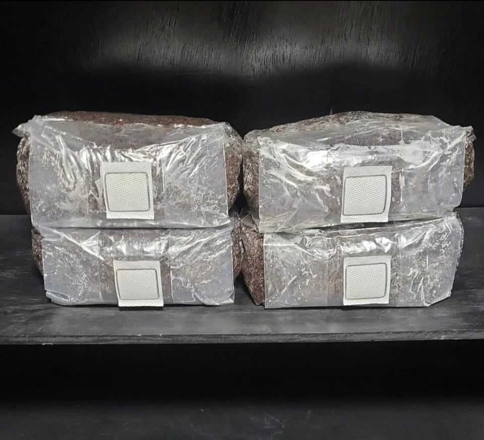 5lb Sterilized Mushroom Substrate Bag - Wood-Loving Mix for Fast Growth - Southern Mushroom Supplies