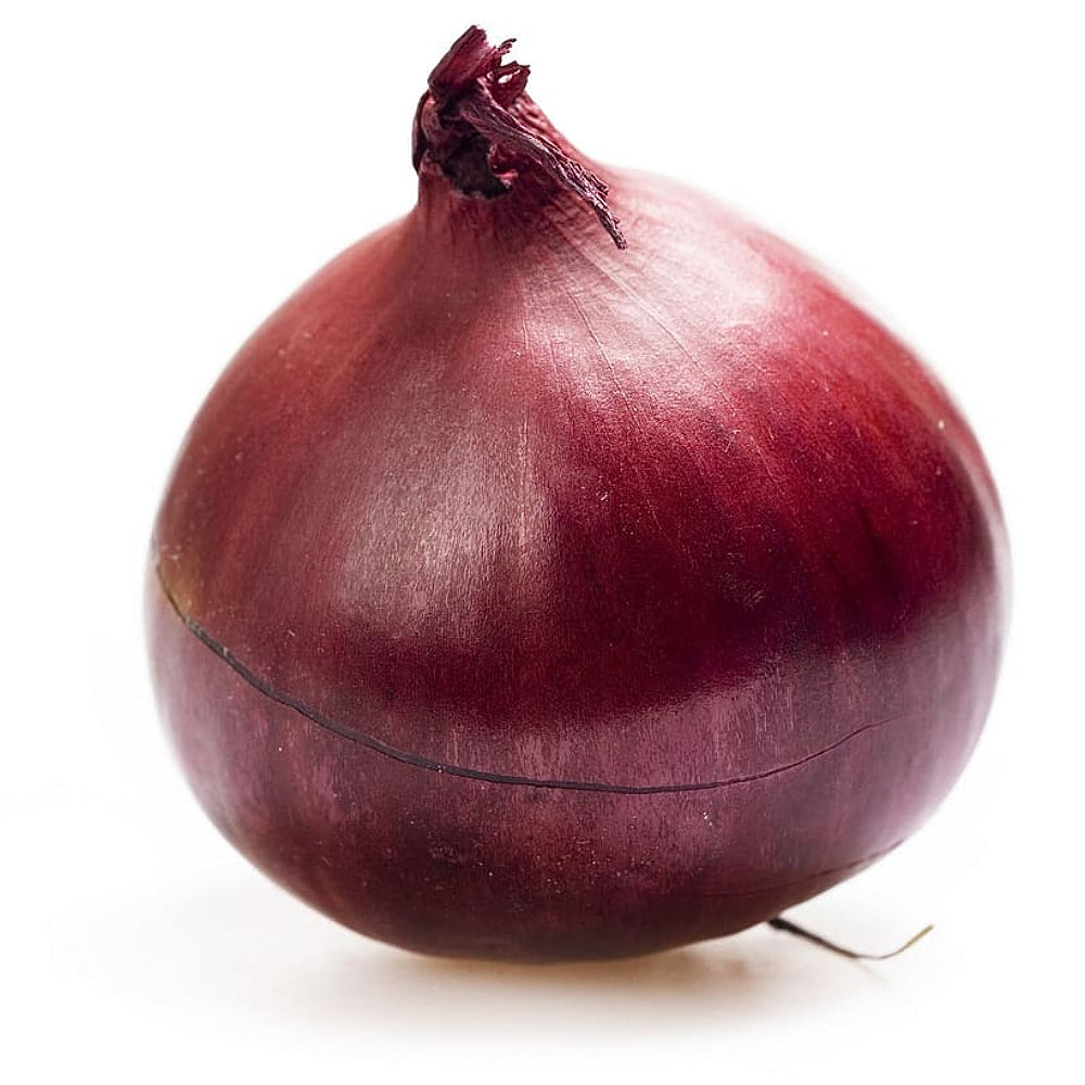 Red Creole Edible Onion (Allium cepa 'Red Creole')