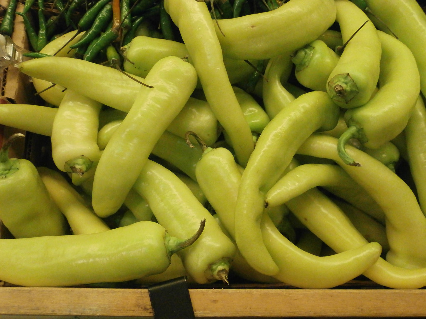 Sweet Banana Pepper (Capsicum annuum 'Sweet Banana')