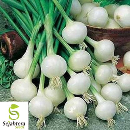 200 Crystal White Wax Onion Seeds - Non-GMO, Sweet & Mild Variety