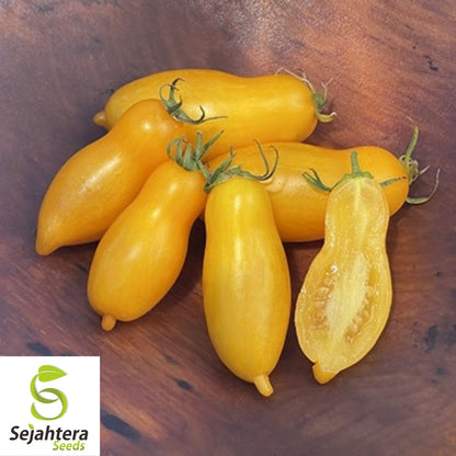 Banana Legs Yellow Tomato Seeds 50 Ct | Heirloom NON-GMO Vegetable USA
