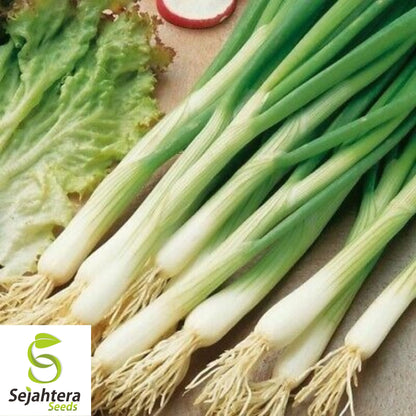 White Lisbon Onion Seeds - 500+ Heirloom, Non-GMO Bunching Scallions & Fresh