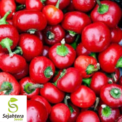 Large Red Cherry Hot Pepper Seeds - 50+ Heirloom - 3,000-5,000 SHU - Non-GMO
