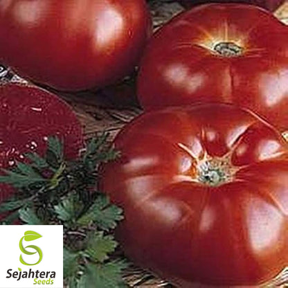50 Marmande Tomato Seeds - Italian Heirloom, Non-GMO Vegetable