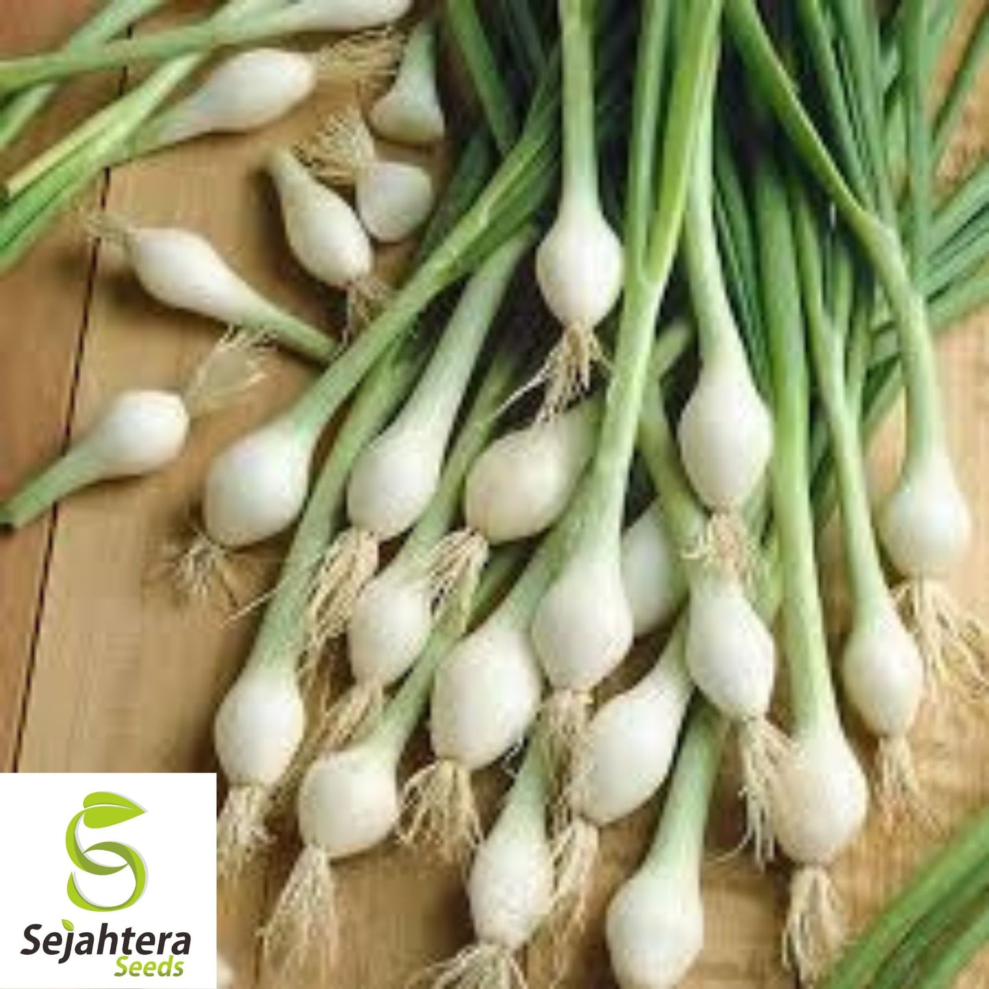 White Lisbon Onion Seeds - 500+ Heirloom, Non-GMO Bunching Scallions & Fresh