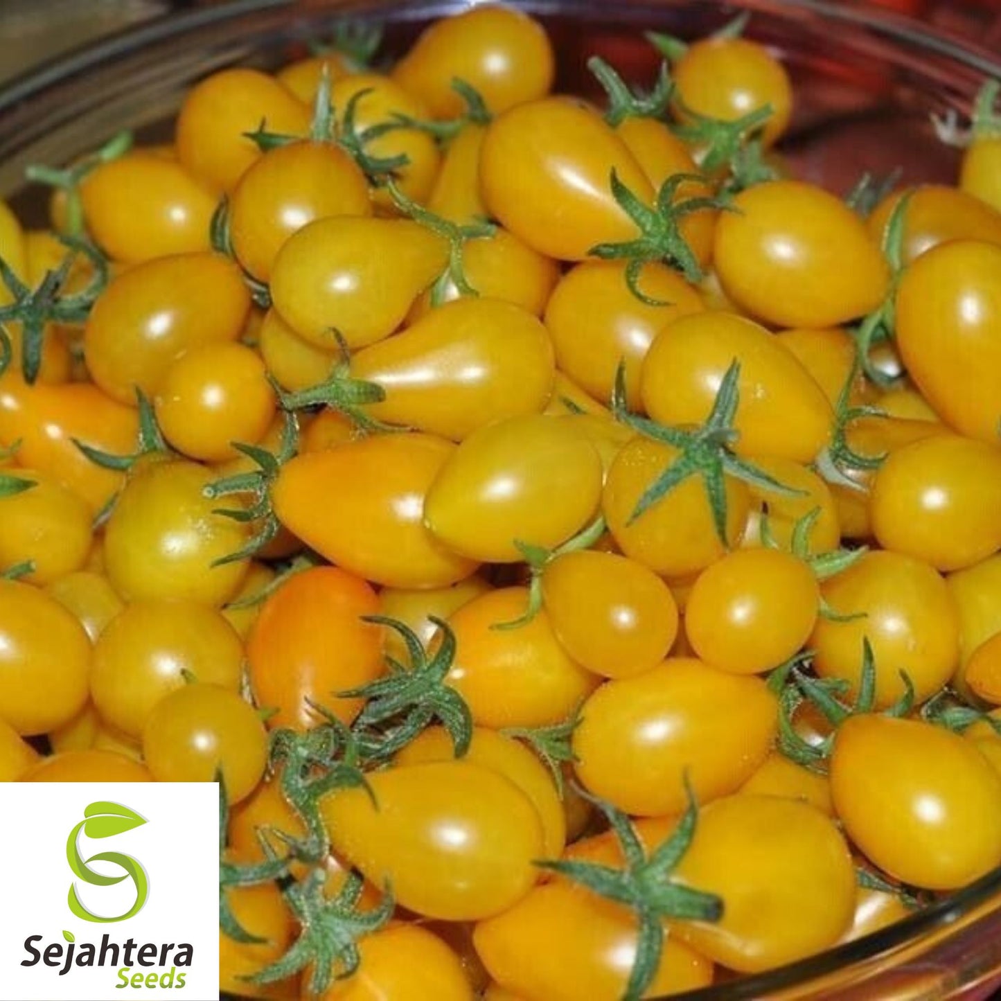 Yellow Pear Tomato Seeds - 120+ Heirloom, Organic, Non-GMO & Sweet