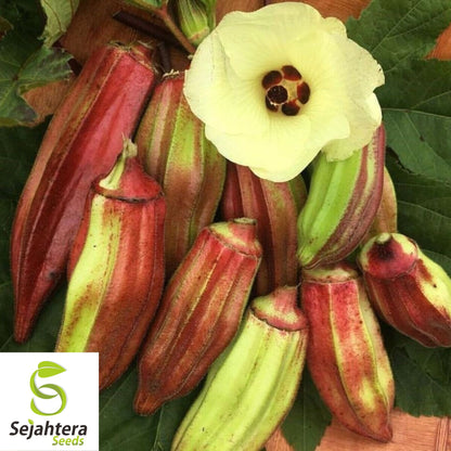 Texas Hill Country Red Okra Seeds - 100+ Heirloom - Non-GMO & High Yield