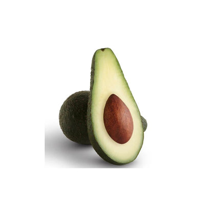 Grafted Pinkerton Avocado Tree – Persea americana  Live Grafted Fruit Tree | 10 Inches – 2 Feet Tall Premium Avocado Variety • Healthy Live Plant
