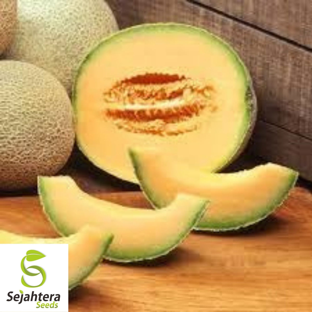Planters Jumbo Cantaloupe Seeds 50+ | Sweet Muskmelon Fruit NON-GMO USA
