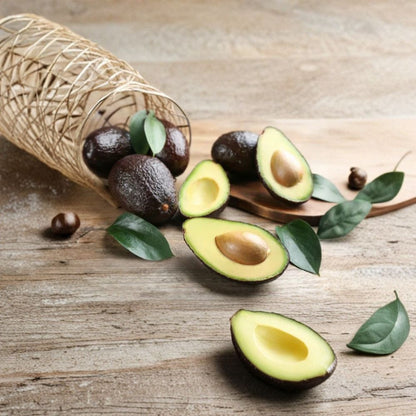 Super Hass Avocado Tree – Persea americana  Rare Zill Authentic Variety Live Grafted Avocado Tree | 2–4 Feet Tall | 3 Gallon Container