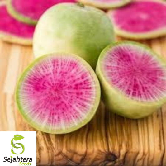 100+ Watermelon Radish Seeds - Heirloom, Organic, Non-GMO, Crisp & Sweet Flavor