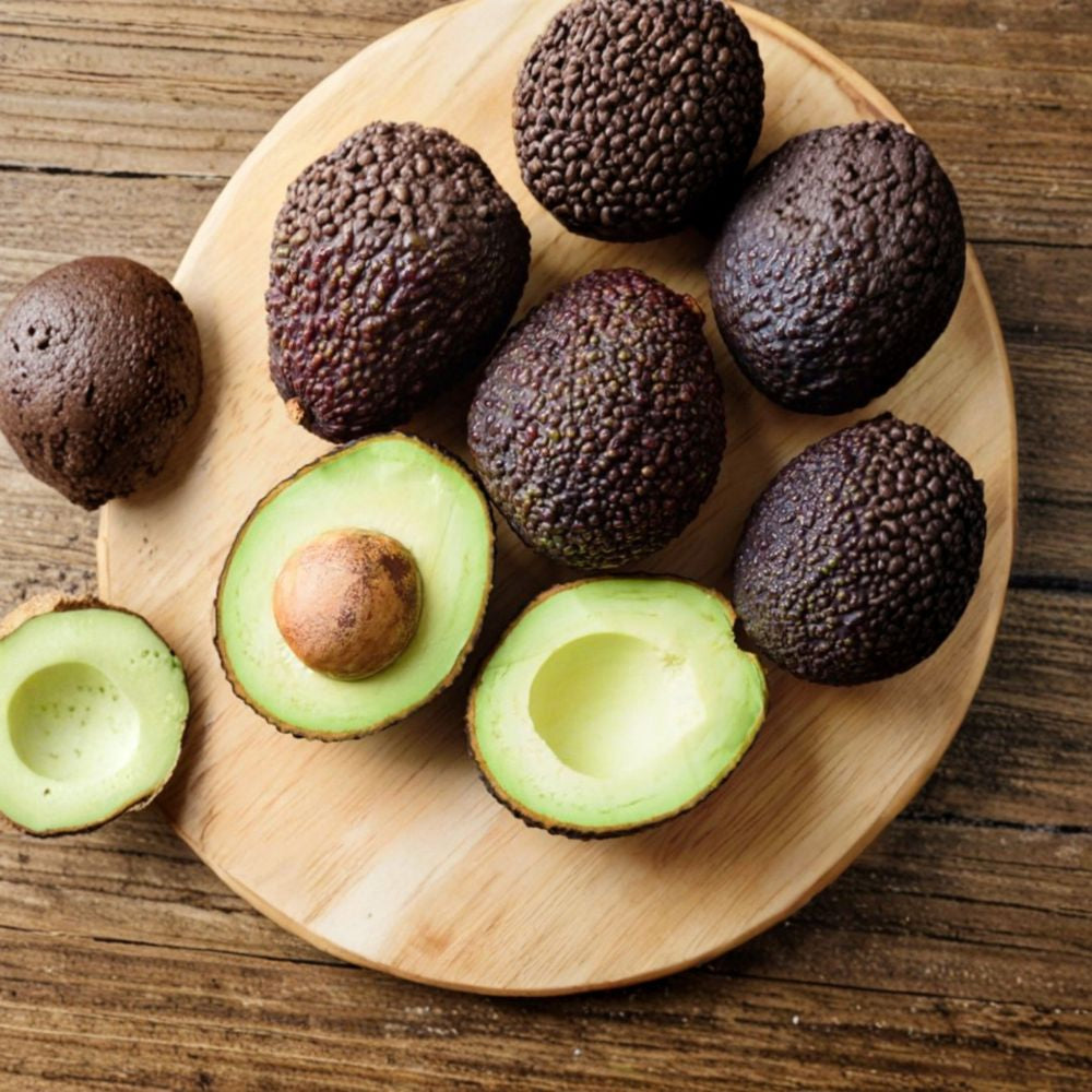 Super Hass Avocado Tree – Persea americana Grafted Live Tree | 2–3 Feet Tall  Premium Guacamole Avocado | Classic Hass Flavor | Home Orchard Favorite