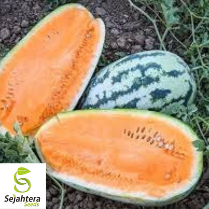 Tendersweet Orange Watermelon Seeds - 50+ Heirloom, Non-GMO, Sweet & Juicy