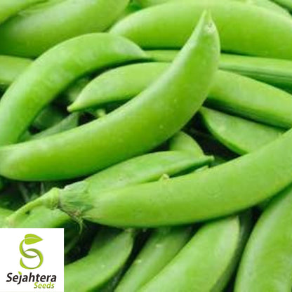 Sugar Snap Pea Seeds 25 Ct | Heirloom Pod Vegetable NON-GMO USA